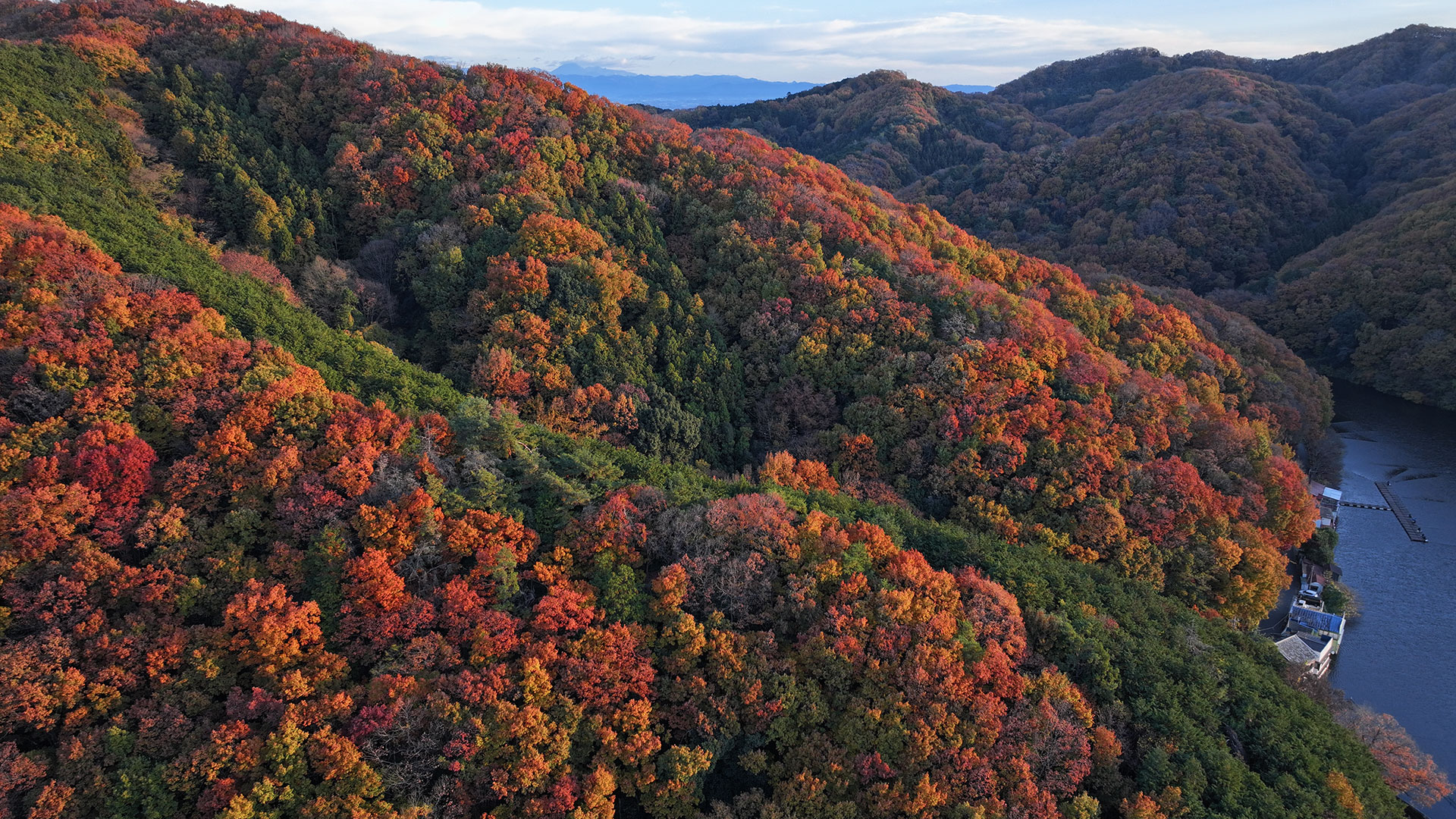 寄居町の紅葉